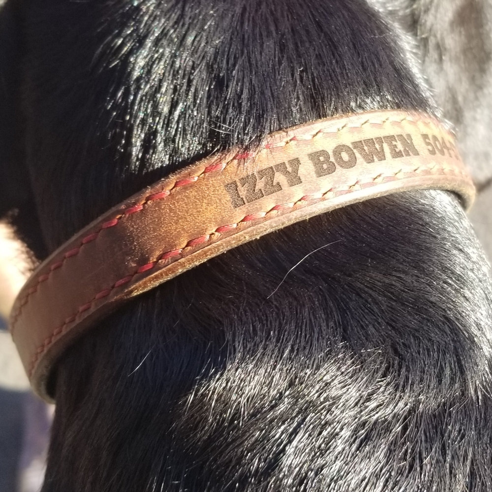 Dog collar, handmade leather dog collar